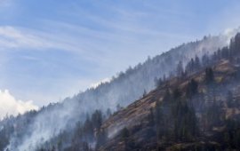 Support for Manulife Affinity Program Policy Holders Affected by BC Wildfires
